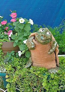 Large Go Green Turtle (stdg)